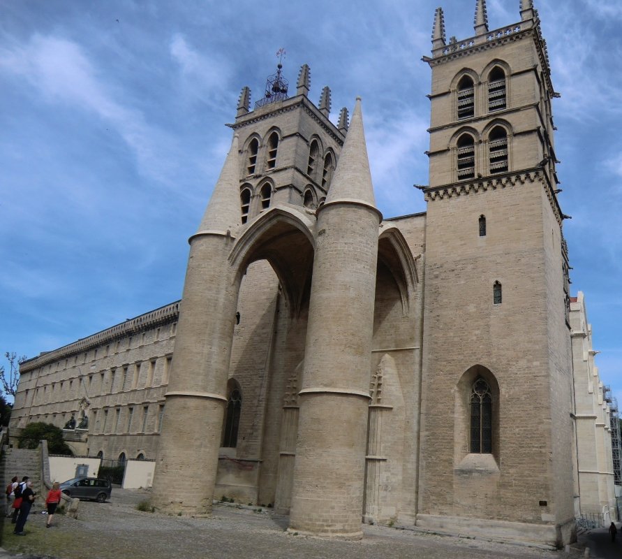 Kathedrale und Universität in Montpellier