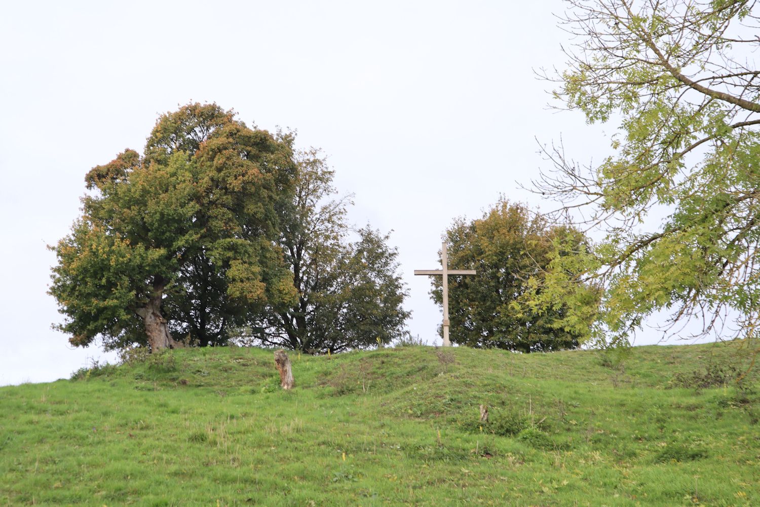 Kreuz an der Stelle von Heimerads Platz auf dem Hasunger Berg bei Burghasungen