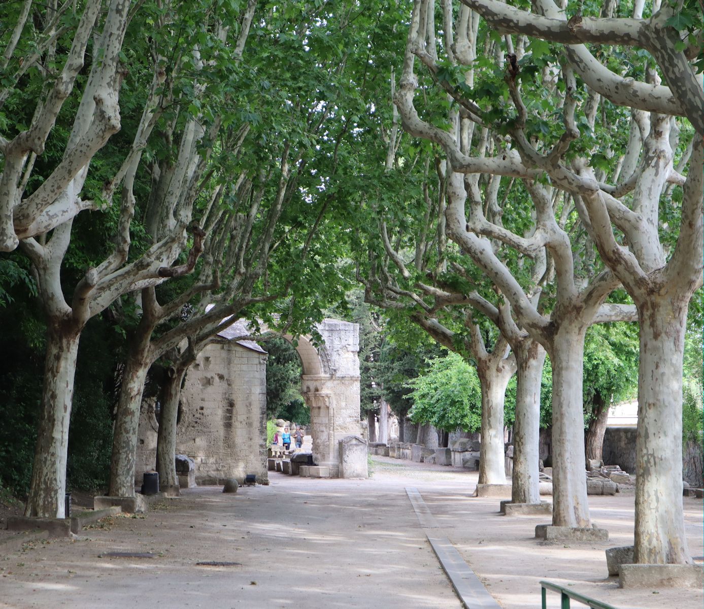 frühchristliches Gräberfeld Alyscamps in Arles